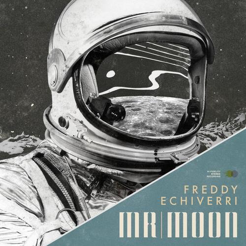 Mr. Moon cover