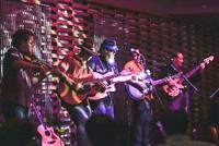 The String Assassins photo