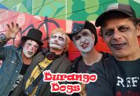 Durango Dogs photo