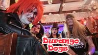 Durango Dogs photo