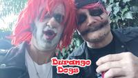 Durango Dogs photo