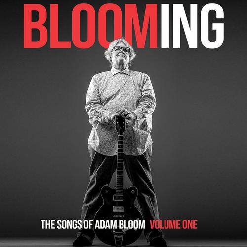 BLOOMING cover