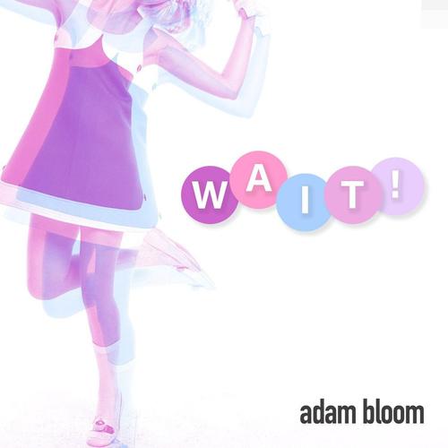 Wait! cover