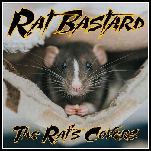 RAT'S FAVORITE COVERS cover