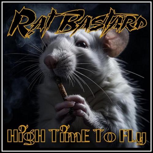 HIGH TIME TO FLY cover