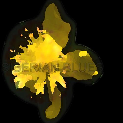 HYPERICUM PERFORATUM cover