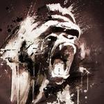 Echoes of Savages