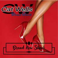 Cat Wells Blues Band photo