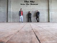 The Shy photo