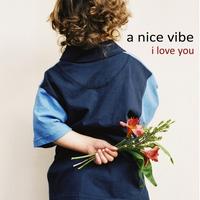 A Nice Vibe photo