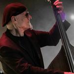 Sal La Rocca profile picture