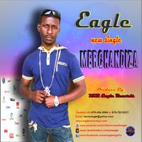 EAGLE photo