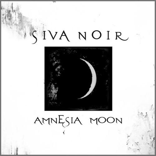 Amnesia Moon cover