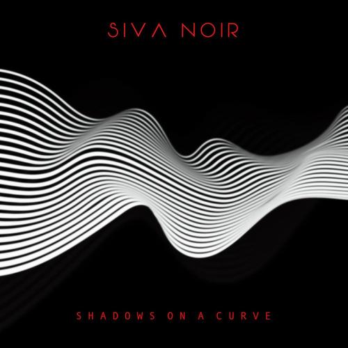 Shadows on a Curve cover