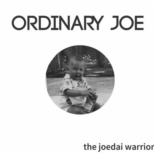 Ordinary Joe cover