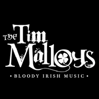 The Tim Malloys photo
