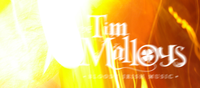 The Tim Malloys photo