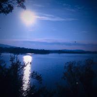 Phillip Marlan photo