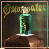 Gatorwater photo