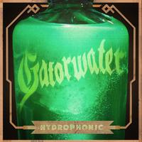 Gatorwater photo