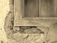 monomic photo