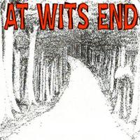 AWE (At Wits End) photo