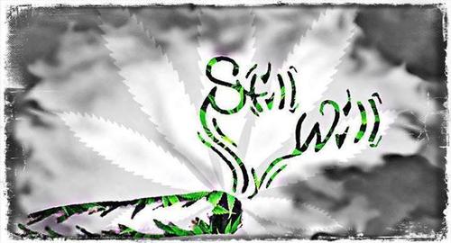 Profile photo artist_3026746-1414490358.jpg