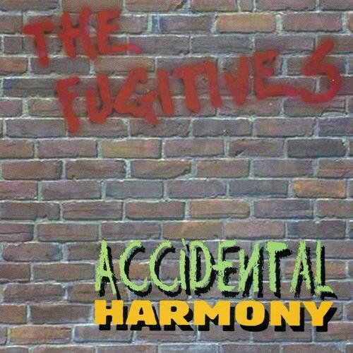 Accidental Harmony cover