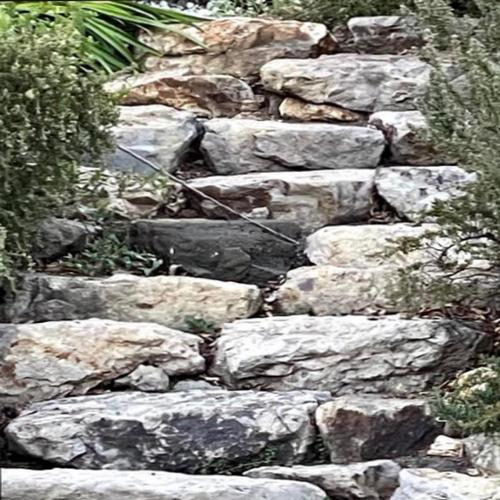 Come Home cover