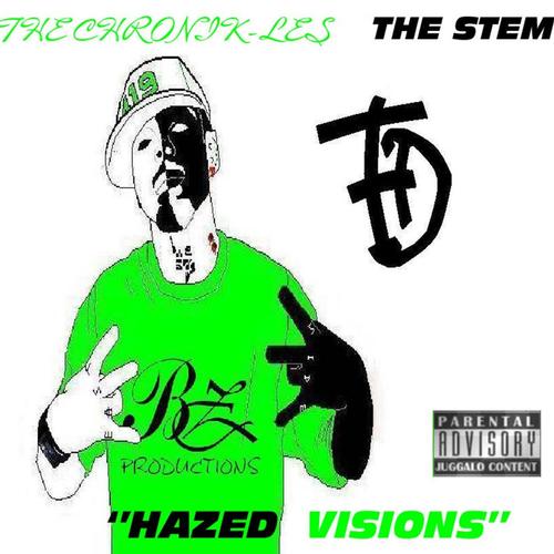 HAZED VISIONS(the stem) cover