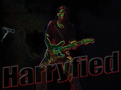 Profile photo 1355743046_Harry-Live-07.jpg