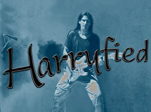 Profile photo 1355743275_Harry-Live-21.jpg