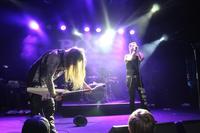 EverFelt photo