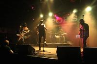 EverFelt photo