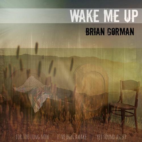 Wake Me Up cover