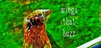 Wings That Buzz photo
