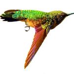 Wings That Buzz
