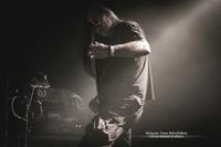 ENDLESS DISTRUST photo