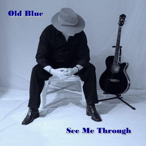 SEE ME THROUGH cover