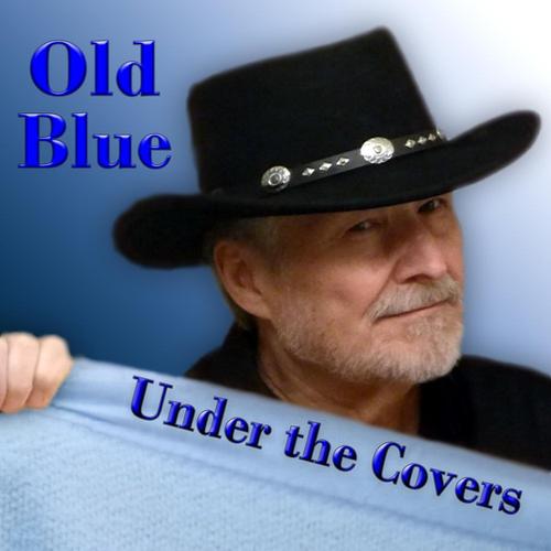 UNDER THE COVERS cover