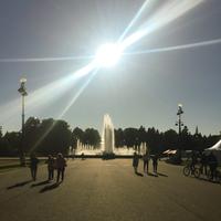 Любовный скотч photo
