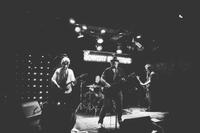 The Downstrokes photo