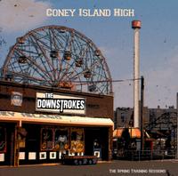 The Downstrokes photo