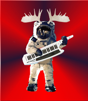 CosmoMoose photo
