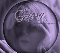 Gypsy, A True Stevie Nicks Experience photo