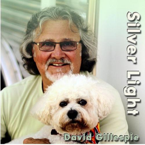 Silver Light cover