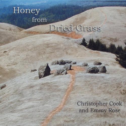 Honey from Dried Grass cover
