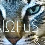ALOFUS
