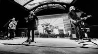 Groove Gypsies photo