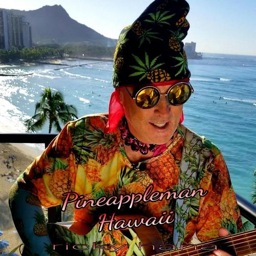 Pineappleman Hawaii cover